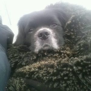 Meet your Posher, Linda